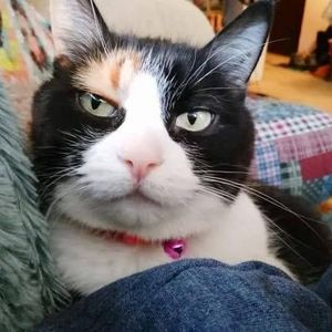 Meet your Posher, Rita a